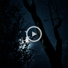 ホラーシーンアセット